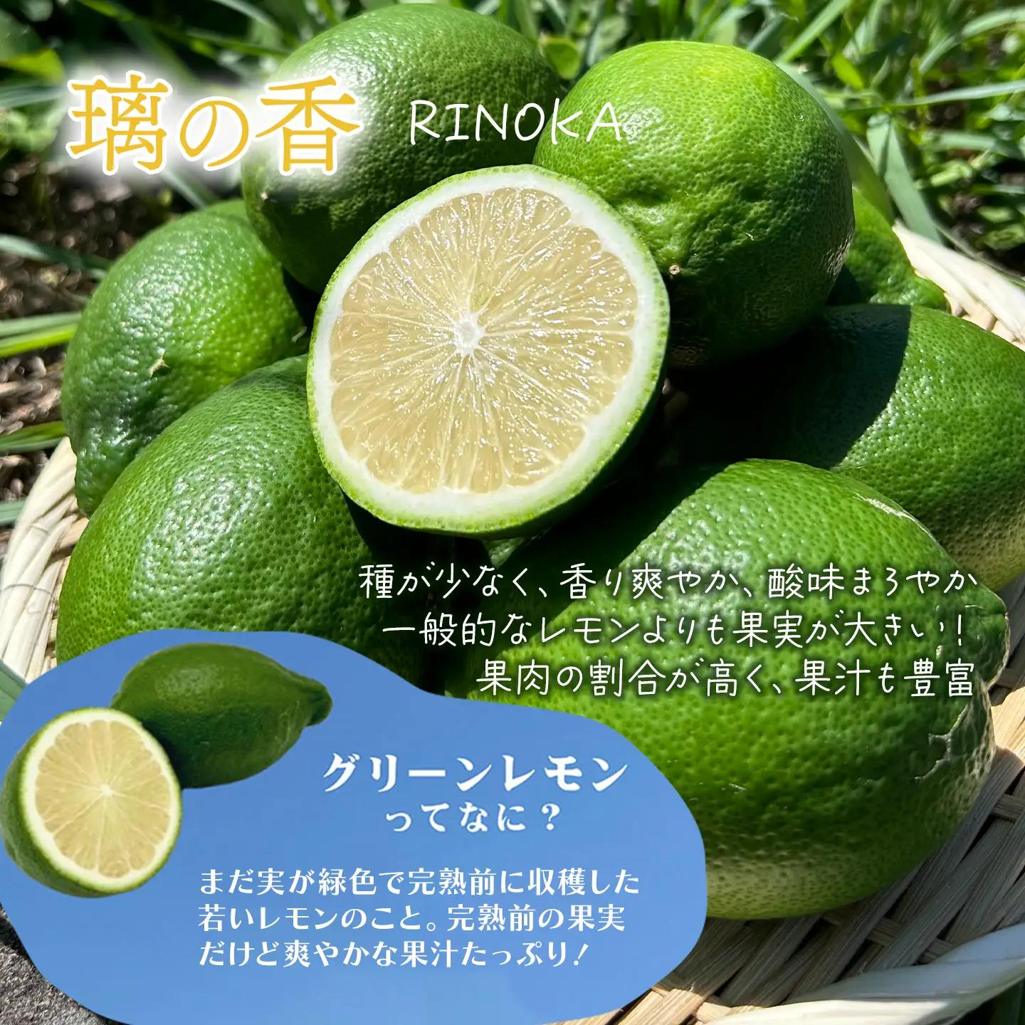 グリーン レモン  璃の香 2㎏｜れもん 有機 オーガニック 国産 愛媛県 西条市
