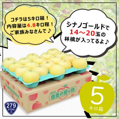 りんご シナノゴールド 4月から順次発送 A品 4.8kg (14～20玉)CA貯蔵 産直組合直送【配送不可地域：離島】