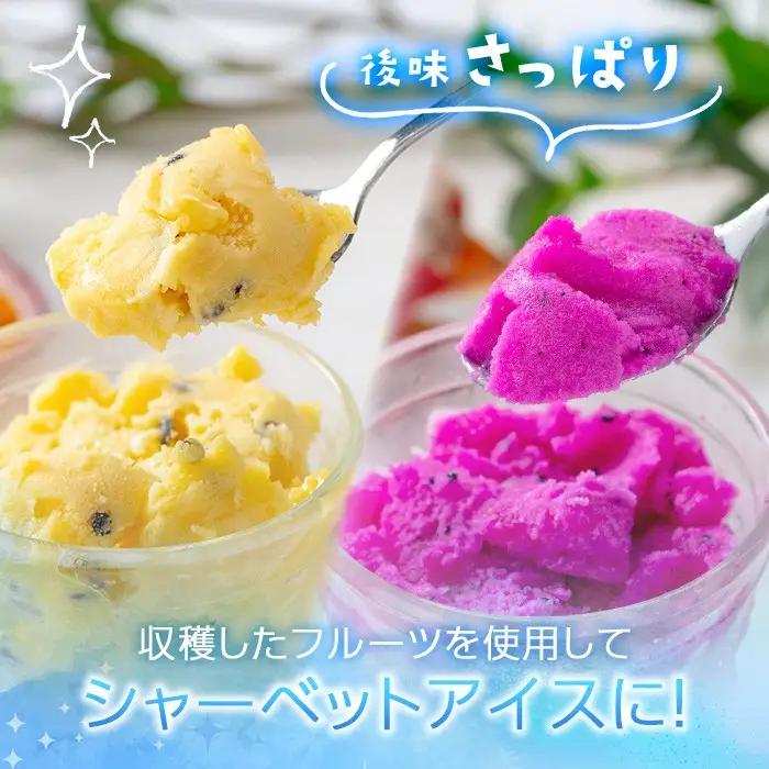 鹿児島県産 フルーツ シャーベット アイス 計12個 90g×各6個 パッションフルーツ レッドドラゴンフルーツ はまうえ果樹園 No.627 
