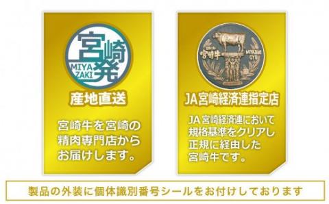 宮崎牛 こま肉＆ミンチセット 1kg【肉 牛肉 国産 黒毛和牛 肉質等級4等級以上 4等級 5等級 牛ミンチ 牛小間 ハンバーグ 炒め物 肉じゃが 普段使い】