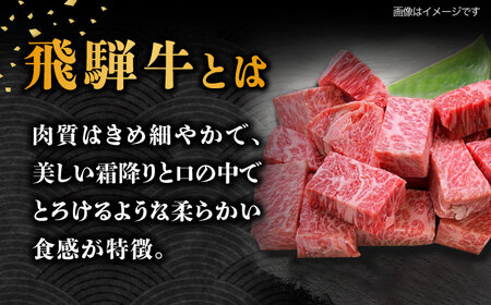 【6回定期便】 飛騨牛 サイコロステーキ 部位おまかせ 500g A4等級以上  多治見市 / 渡辺精肉店 和牛 ブランド牛 牛肉[TAZ040]