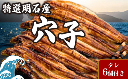特選明石産炭焼き穴子（タレ6個付き） うなぎ 鰻 魚貝類 加工食品 