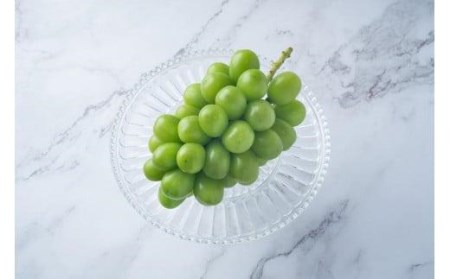 【2026年8月中旬頃から順次発送】シャインマスカット 2房 約 1.1kg  ぶどう ぶどう  ぶどう ぶどう  ぶどう ぶどう  ぶどう ぶどう  ぶどう ぶどう  ぶどう ぶどう  ぶどう ぶど