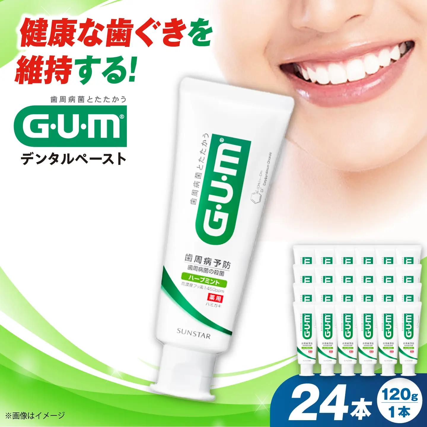 GUM デンタルペースト(ST) 120g×24本 大阪府高槻市/サンスター[AOAD078]