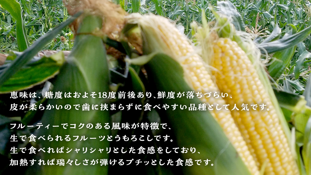 【 2025年 7月 発送開始 】 《3か月定期便》旬の野菜3種 419キャベツ 恵味トウモロコシ じゃがいも きゃべつ 嬬恋村産キャベツ 羽生田売店 幻のキャベツ419 産地直送 期間限定 先行予約