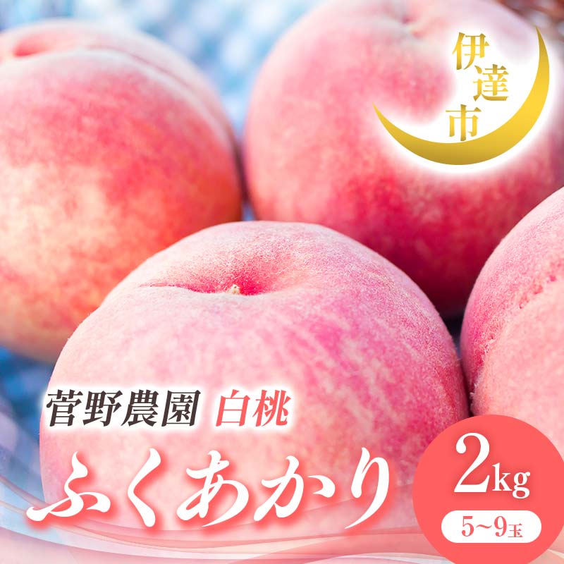 【ふるさと納税】2025年出荷分 先行予約 福島県産 ふくあかり 2kg 2025年7月中旬～2025年8月下旬発送 先行予約 予約 伊達の桃 伊達市 桃 贈り物 贈答 ギフト もも モモ 果物 くだもの フルーツ 国産 食品 F21C-012