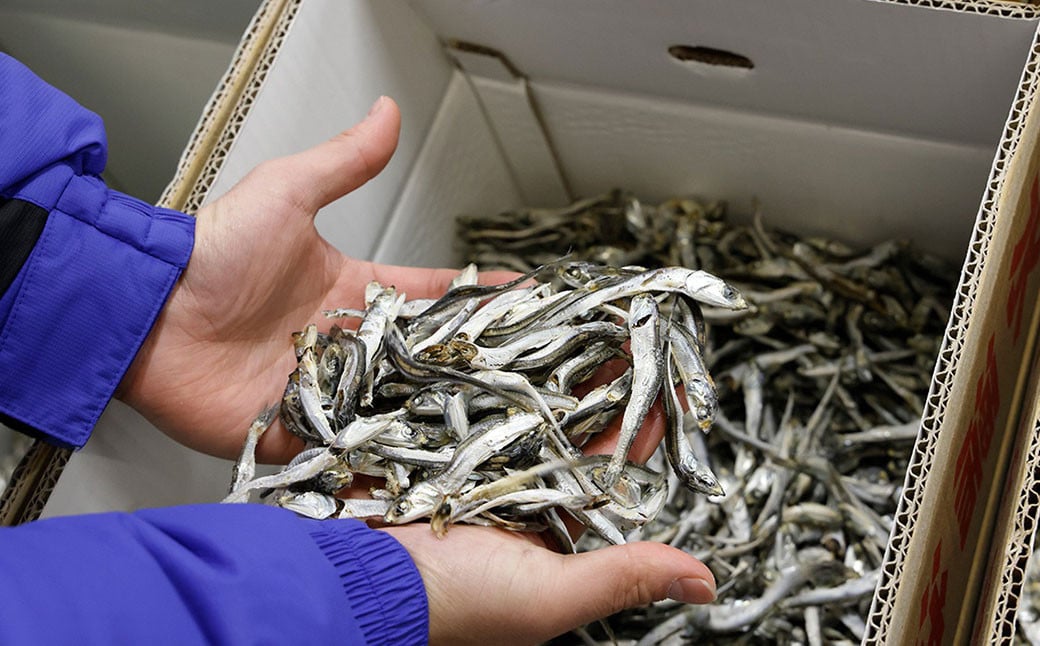 瀬戸内海産手作りアーモンド小魚（大袋）【4袋】（895）