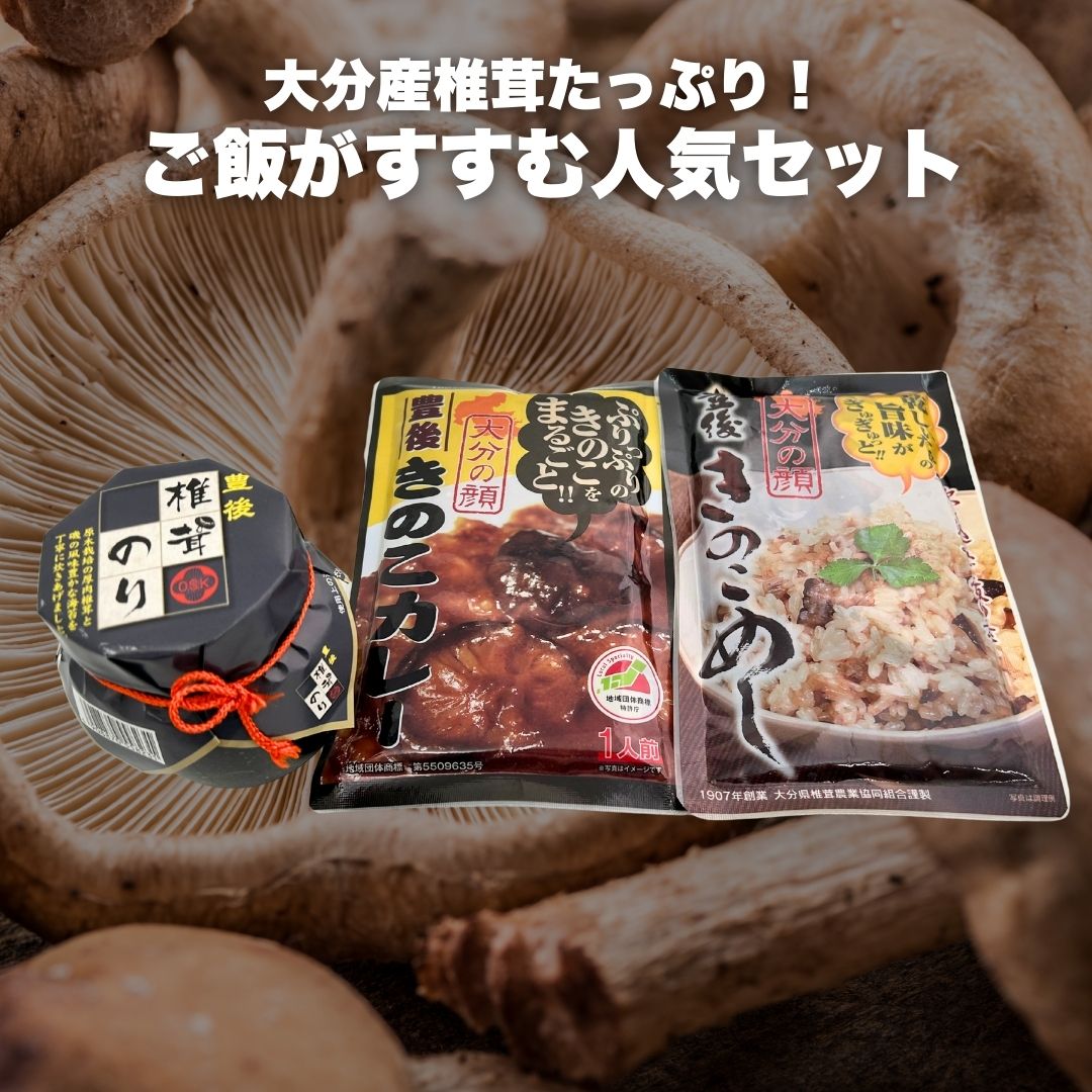 【ふるさと納税】豊後きのこカレー＋豊後きのこめし＋椎茸海苔160g | 椎茸 レトル 若芽どんこ 大分県 津久見市 国産