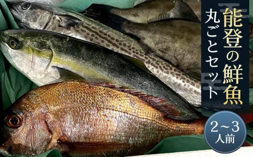 
【復興支援】能登の鮮魚丸ごとセット【2～3人前】
