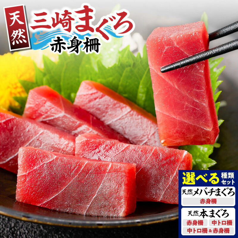 【ふるさと納税】＜選べる種類・容量＞ 神奈川県漁連 三崎まぐろ 天然 本マグロ or メバチマグロ 150g or 300g 中トロ 赤身 柵 セット まぐろ 鮪 魚 刺身 神奈川県漁業協同組合連合会 神奈川県 三浦市 おすすめ ランキング プレゼント ギフト