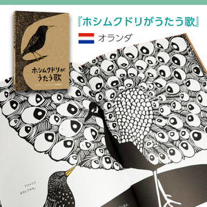 大人も楽しめる！翻訳絵本3冊セット[AR002] / 絵本