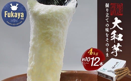 
土付き大和芋AA品4kg（10～12本）　【11218-0138】
