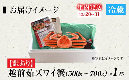 【先行予約】[到着日指定可]【訳あり】蟹好きが唸る老舗カニ料理店の越前茹ズワイ蟹 小（500g～700g）＜年内発送＞ [G-085041] / カニ かに かにボイル かにみそ 越前ガニ ズワイガニ