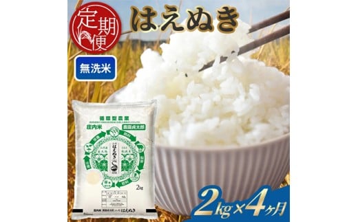 【4回定期便】令和7年産 ［無洗米］はえぬき　2kg×4回(計8kg) SE0500
