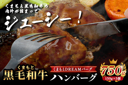 くまもと黒毛和牛 DREAMバーグ 150g×5パック 計750g 牛肉 100％ 国産 生 ハンバーグ 熊本 ブランド牛 黒毛 和牛 上質 はんばーぐ 惣菜 熊本県 113-0508
