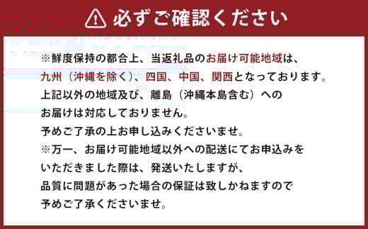 熊本県産 不知火柑 約4.5kg しらぬい 果物 柑橘類 みかん 蜜柑 【2026年2月下旬発送開始】