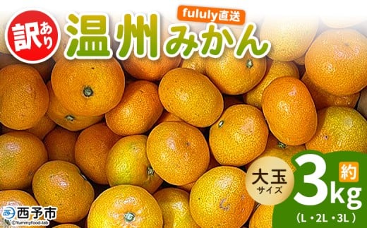 ＜fululy直送 温州みかん 訳あり 約3kg 大玉サイズ（L～3L）＞ ワケアリ サイズ混合 大玉 果物 フルーツ 蜜柑 うんしゅうみかん ウンシュウミカン 柑橘 家庭用 合同会社fululy 直送 愛媛県 西予市【常温】『2025年11月上旬～12月中旬迄に順次出荷』