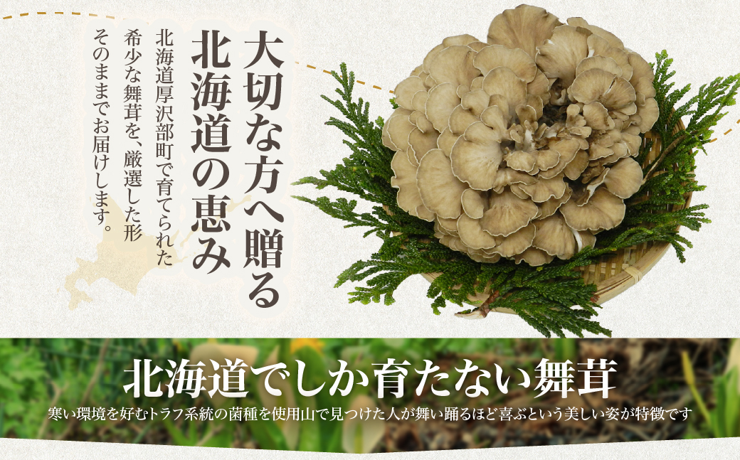 北海道厚沢部町産 新鮮えぞ舞茸セット ASM004