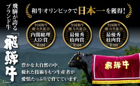 白川郷 飛騨牛 リブロース ステーキ 200g×3枚 計600g ステーキ [S374]