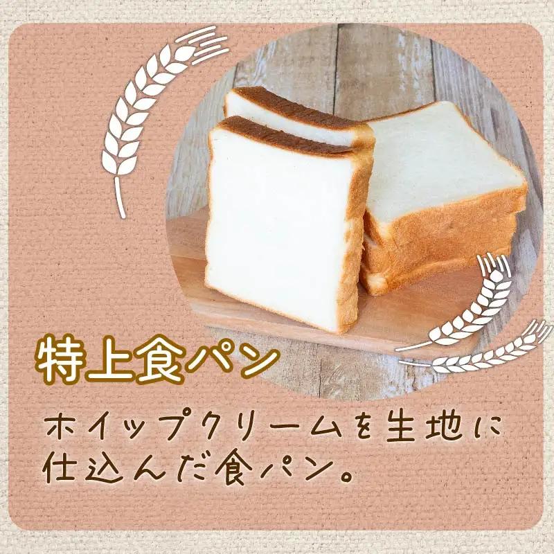 6ヵ月 定期便 特上食パン 2斤 フィセル 3本 （ フランスパン ） 定期便セット MNB3000