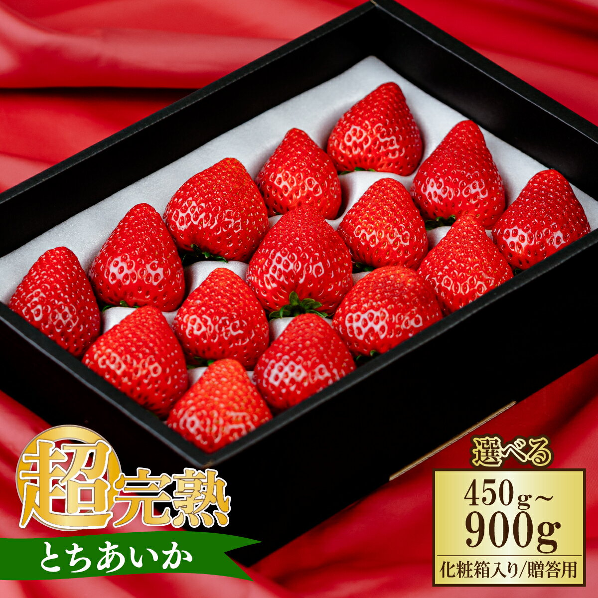 【ふるさと納税】いちご 小島さんちの完熟 とちあいか ギフト 選べる発送月＆内容量 450g 900g | いちご イチゴ 苺 とちあいか 完熟 大粒 果物 フルーツ 贈答 ギフト くだもの あまい 甘い 産地直送 栃木県産 小島いちご園 栃木県 茂木町