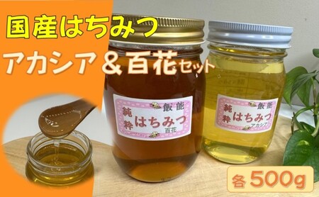 国産はちみつ食べ比べセット(百花とアカシア)各500g 蜂蜜 ハチミツ 1kg HNNBO003