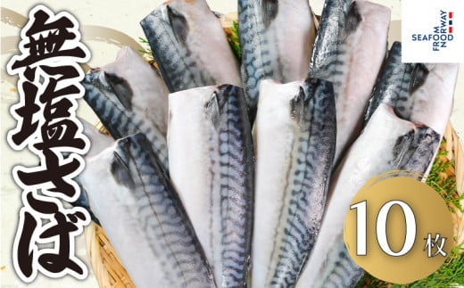 無塩さば 10枚 さば 鯖 無塩 無塩鯖 さばフィーレ 鯖フィーレ さばフィレ 鯖フィレ 食塩不使用 切り身 切身 無添加 添加物不使用 小分け 個別冷凍 お弁当 惣菜 おかず 塩焼き 味噌煮 調理用 料理 冷凍 冷凍品 長期保存 保存食 鮮度 旨味 厳選 こだわり お取り寄せ グルメ 食品 魚 大容量 ギフト 贈り物 海鮮 ふるさと納税 ふるさと納税さば 送料無料 千葉県 銚子市 エドノフーズ