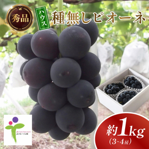 ハウス種無しピオーネ(3～4房)/80【配送不可地域：離島】【1299403】