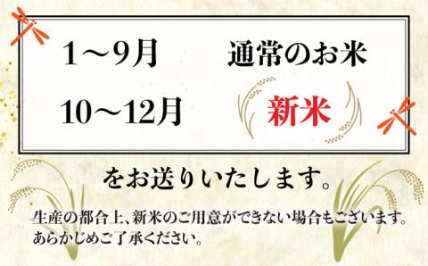 【 6回 定期便 】 糸島 で 農薬 を使わずに育てた山つき 糸島米 3kg （ コシヒカリ ）《 糸島 》【株式会社やました】 [ARJ013]