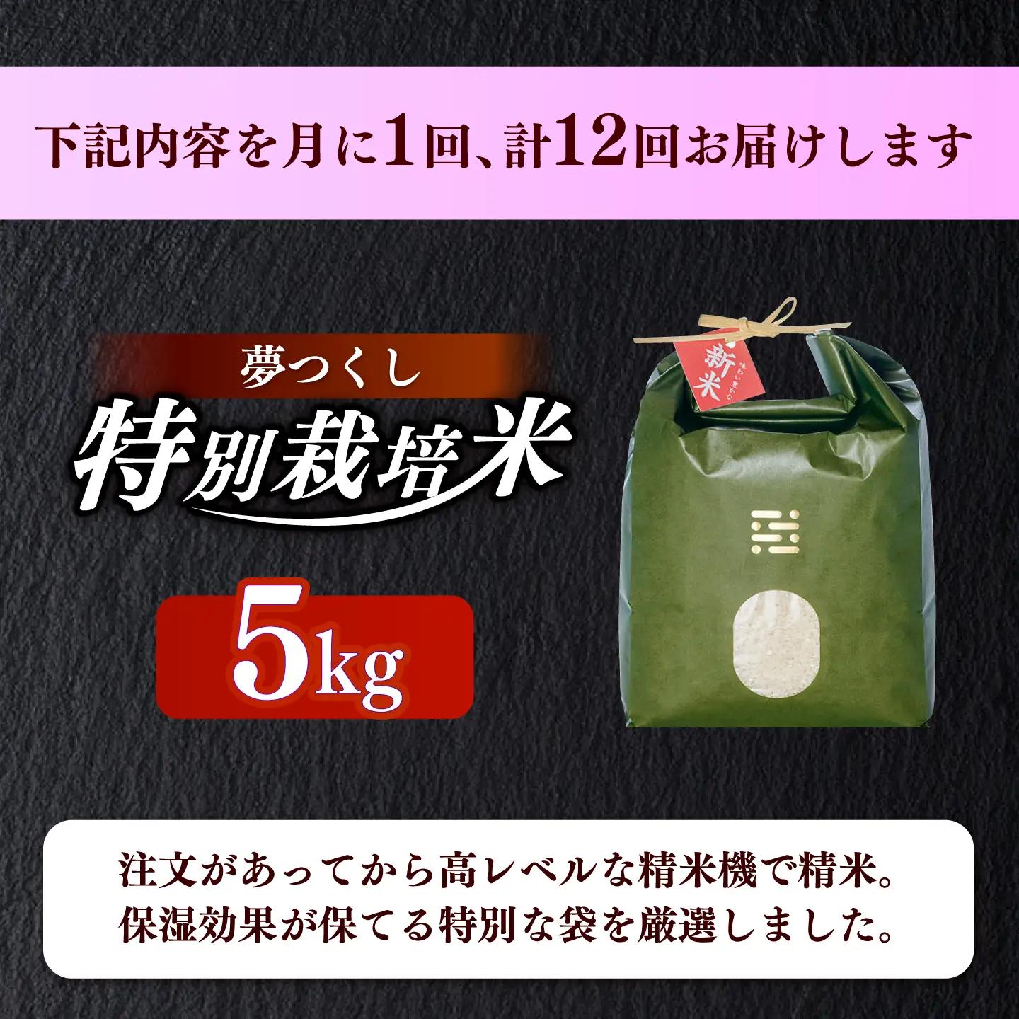 【全12回定期便】とくべつの中のとくべつ  特別栽培米  夢つくし 5kg【築上町】 / itoshimacco / 株式会社やました[ABEX008]