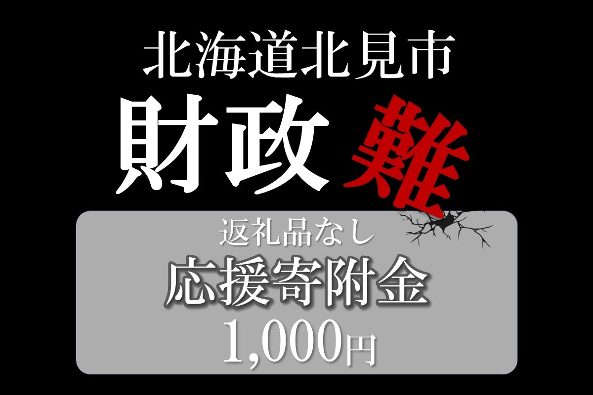 
            【返礼品なし】北海道北見市 応援寄附(1,000円分)【223-0001】
          