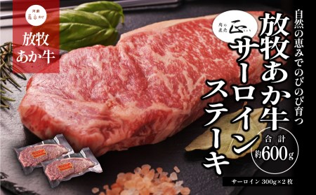 阿蘇うぶやま村の放牧あか牛サーロインステーキ《60日以内に出荷予定（土日祝除く）》