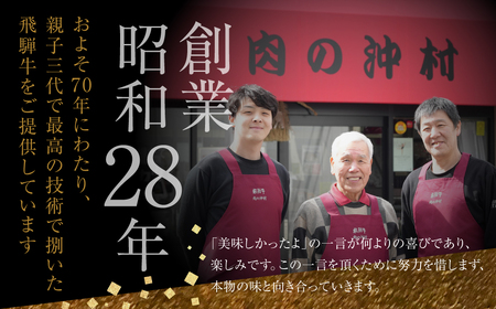 飛騨牛づくし定期便 10回 2人前 定期便 