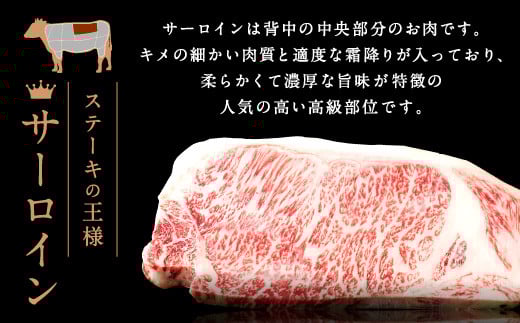 熊本県産 黒毛和牛 サーロイン ステーキ 計600g（200g×3） 国産 牛肉