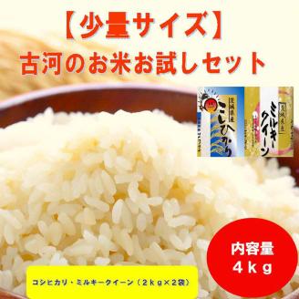 古河のお米お試しセット（コシヒカリ・ミルキークイーン各2kg） | 米 こめ コメ 4キロ 精米 食べ比べ 食べくらべ こしひかり コシヒカリ ミルキークイーン みるきーくいーん 古河市産 茨城県産 贈答 贈り物 プレゼント 茨城県 古河市 直送 農家直送 産地直送 送料無料 ※2025年9月中旬頃より順次発送予定 _DP13