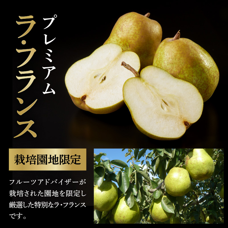 【先行予約】 令和8年産 プレミアム ラ・フランス 約2kg 4玉 ～ 7玉 園地限定 フルーツアドバイザー 厳選 2026年11月中旬～下旬頃 お届け予定 山形県 米沢市