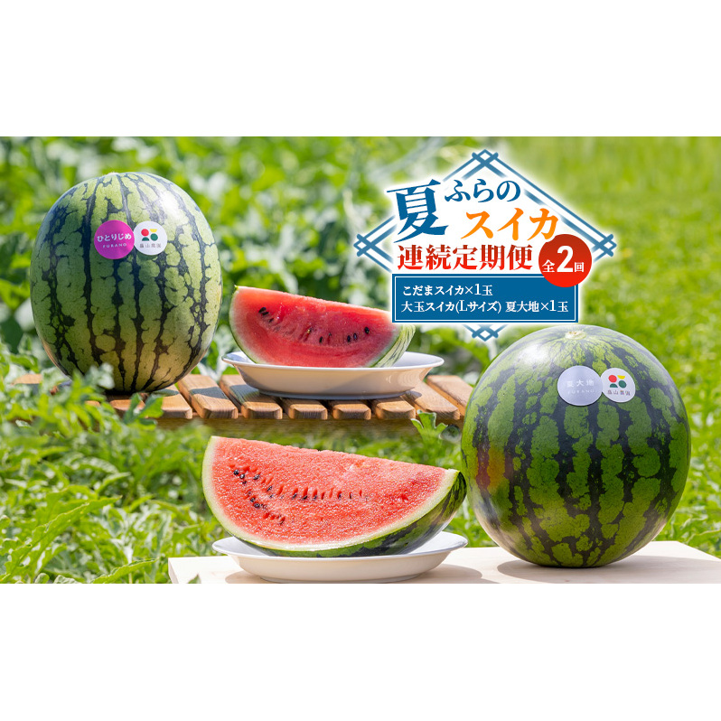 【夏ふらのスイカ連続定期便 全2回】2026年夏発送 こだまスイカ×1玉 大玉スイカ(Lサイズ) 夏大地×1玉 北海道 富良野産 すいか 西瓜 夏 フルーツ ふらの 甘い 糖度 大玉 ギフト (畠山農園）