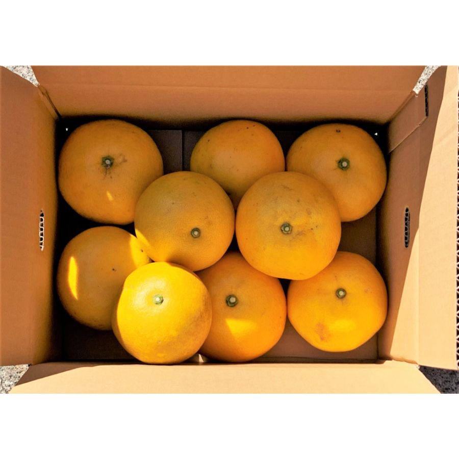 宮崎県産　グレープフルーツ（4kg以上：段ボール入り）