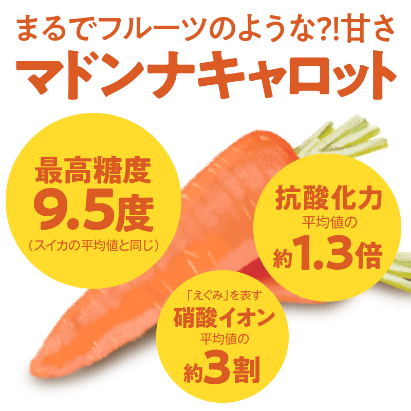 ＜フジテレビ『どっちのふるさと？』で紹介されました！＞ 【期間限定】訳あり！こどもも食べられる甘み！「マドンナキャロット」 2kg にんじん 人参 ニンジン 野菜 やさい 国産 碧南市 健康 食品ロス