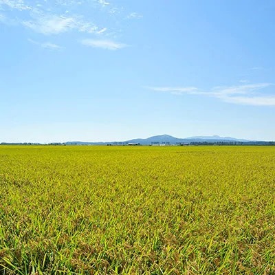 【毎月定期便】あきたこまち特別栽培精米2kg全10回【配送不可地域：離島・沖縄県】