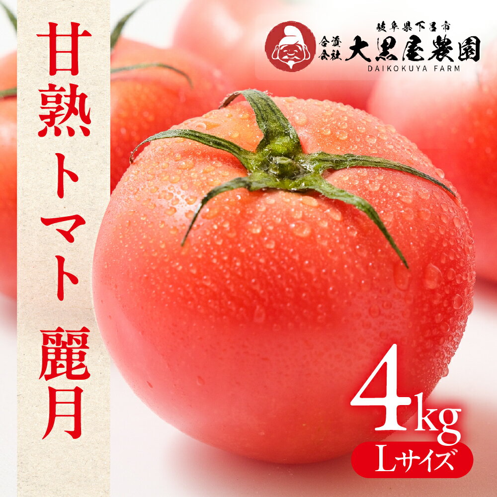 【ふるさと納税】先行予約【期間限定】（2026年7月上旬頃から順次発送）大黒屋農園 甘塾トマト 麗月 Lサイズ 4kg レイゲツ とまと 下呂市【大黒屋農園】
