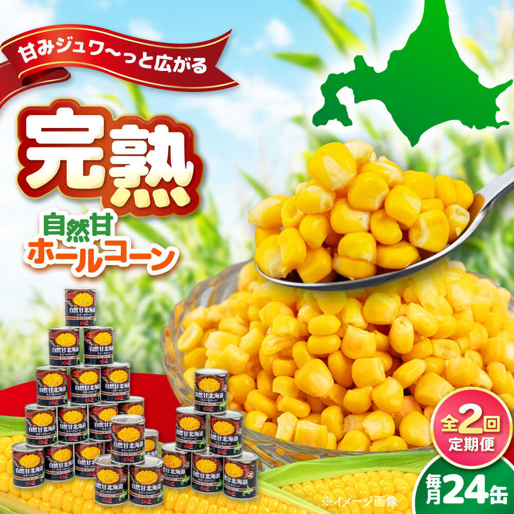 【ふるさと納税】【全2回定期便】自然甘ホールコーン 24缶 《喜茂別町》【きもべつ観光協会】 コーン コーン缶 缶 缶詰 とうもろこし トウモロコシ 北海道 常温 常温配送 定期便 定期 [AJAG023] 36000 36000円