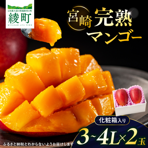 先行予約 完熟マンゴー 3～4L×2玉（化粧箱）マンゴー 宮崎 果物 フルーツ くだもの 2027年 国産 高級 マンゴージュース 南国フルーツ おすすめ デザート ギフト 贈り物 プレゼント 贈答 冷蔵 綾町 送料無料 【JA綾町】_A0114-2351
