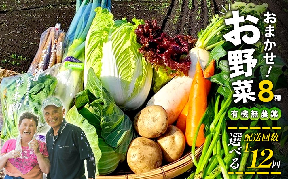 
                  【配送回数 選べる】特別栽培季節のお野菜セット 8品 1回 3回 6回 12回 定期便 野菜 無農薬 有機栽培 新鮮 やさい 旬 詰合せ 国産 宮崎県 九州 送料無料
                