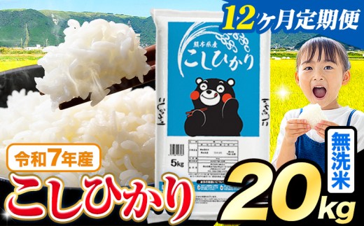 【12ヶ月定期便】令和7年産  無洗米 こしひかり 20kg(5kg×4袋)《お申込みの翌月出荷》熊本県産 ふるさと納税 無洗米 精米 ひの 米 こめ ふるさとのうぜい コシヒカリ コメ お米 おこめ