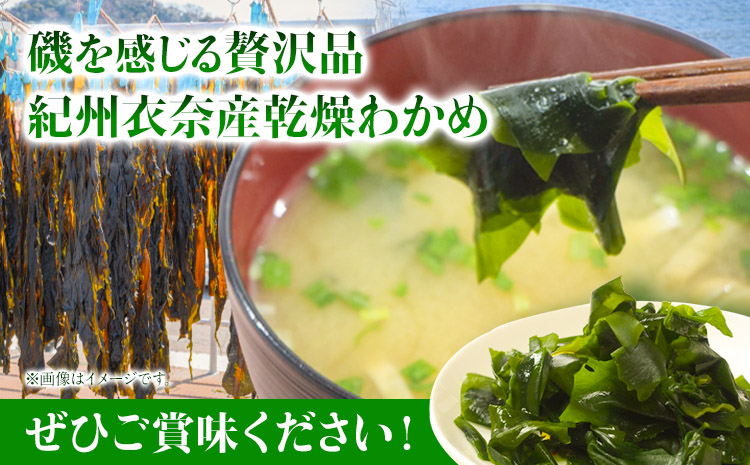 紀州衣奈産 乾燥わかめ 450g 150g×3パック 2024年産《30日以内に出荷予定(土日祝除く)》 和歌山県 日高町  ワカメ お味噌汁 サラダ 酢の物  スマイル