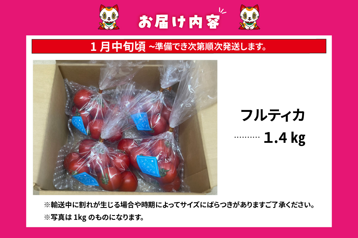 【先行予約】【2027年1月中旬以降発送】フルーツトマト　中玉フルティカ1.4kg│よこた農園 フルティカ 野菜 トマト 新鮮野菜 太陽の恵み 中玉トマト トマト料理 愛知県産 フルーツとまと 甘いトマト お取り寄せ グルメ 常滑市