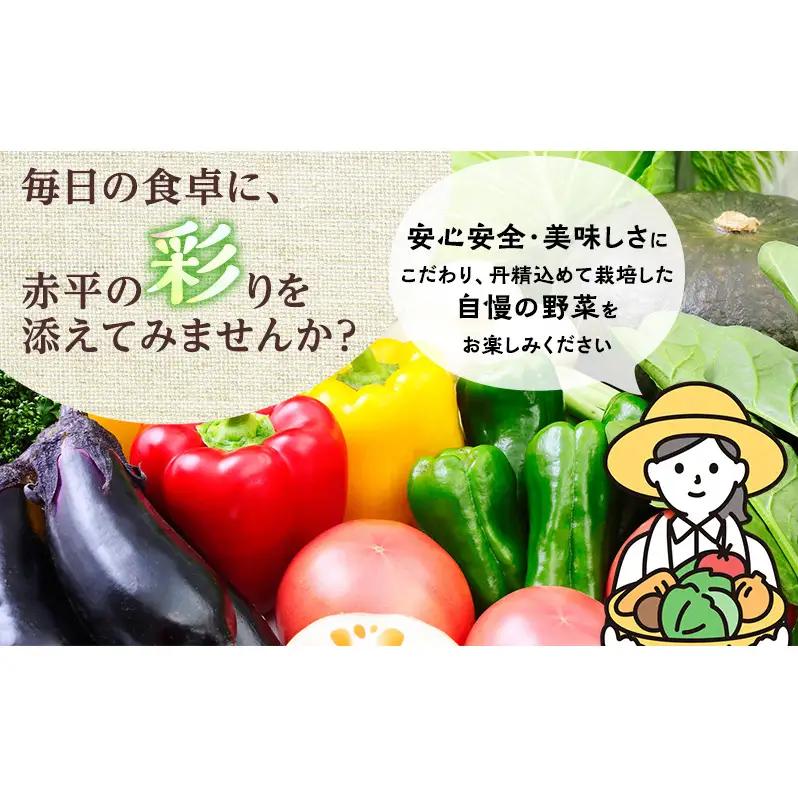 皆菜久留直売所厳選　旬の野菜の詰めあわせ［4～6種類］※8月下旬より順次出荷 産地直送 旬 野菜 セット 詰合せ イモ じゃがいも