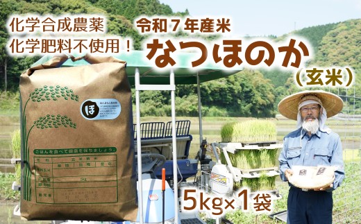 [オーガニック太陽]令和7年産米なつほのか 5kg 【玄米】
