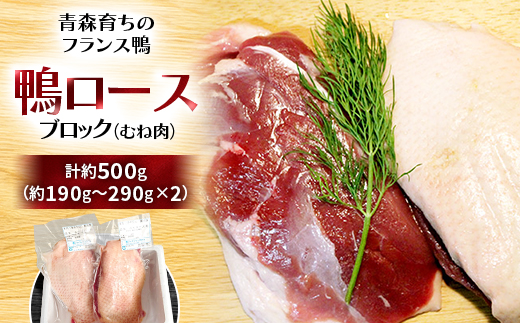 鴨ロースブロック(むね肉)約500g【配送不可地域：離島】【1106346】